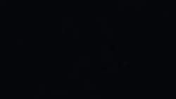 4614646 B