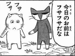 76656 B