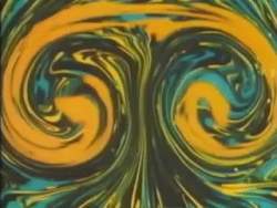 5591677 B