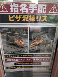 616490 B