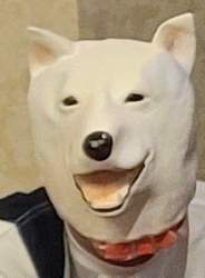 108119 B