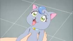 50492 B
