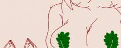 21479 B