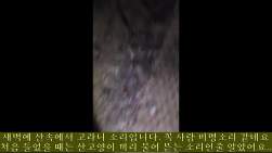 1382459 B
