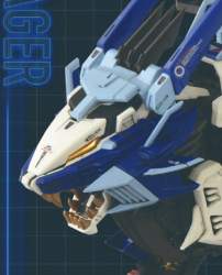 225455 B