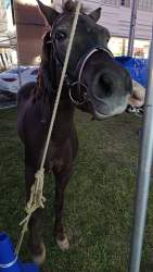 465918 B