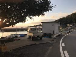 2541254 B