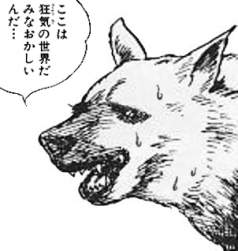 52896 B