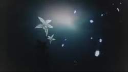 3262591 B