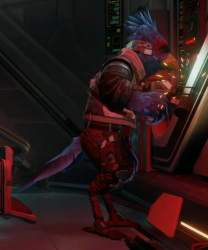79675 B