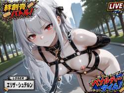 13258 B
