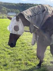 177802 B