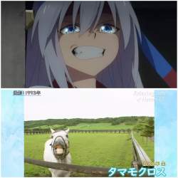 263918 B