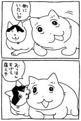 268996 B