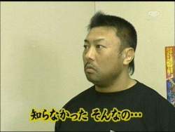 27371 B