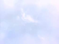 8189113 B