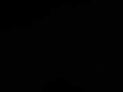 7466199 B