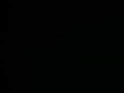 7951061 B