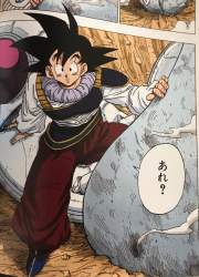 146256 B