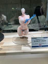 295253 B