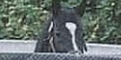 186101 B