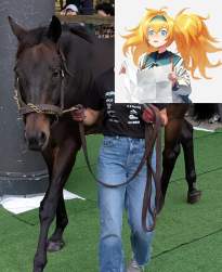 3758886 B