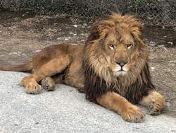 897988 B