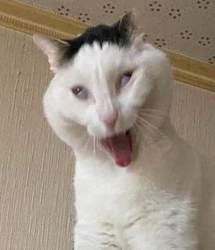 80627 B