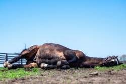 1394082 B