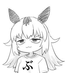 40618 B