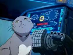 82126 B