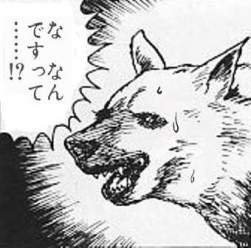46304 B
