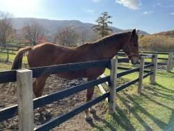 164093 B