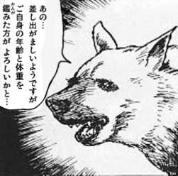 47298 B