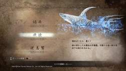 523854 B