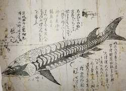 1584464 B