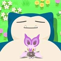 16415 B