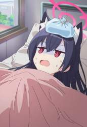 1169081 B