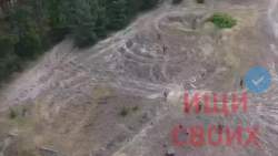 2297784 B
