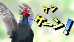 44741 B