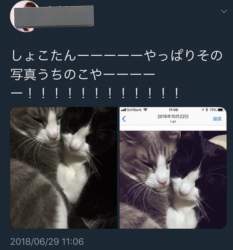 78922 B