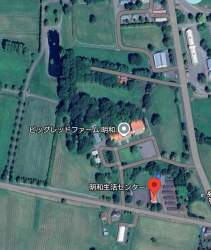277413 B