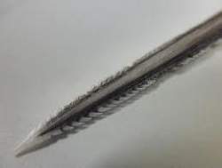 4550 B