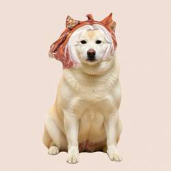 846624 B