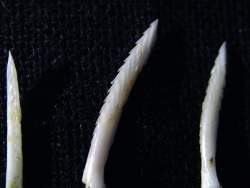 39495 B