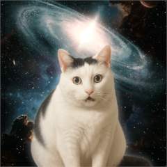 34774 B