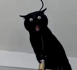 37196 B