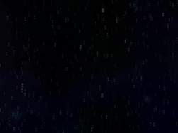 7699638 B