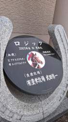 632558 B