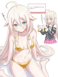 239279 B